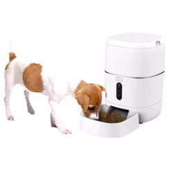 Máy Cho Thú Cưng Ăn Thông Minh 6L AZURA (AUS-PET-6) tiện lợi